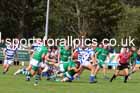Tynedale v Wharfdale, September 6th, 2025, Tynedale Park, Corbridge, Northumberland.
